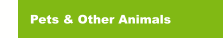 Pets & Other Animals