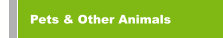 Pets & Other Animals